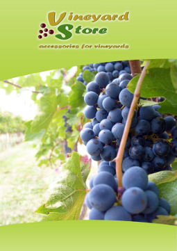 tl_files/catalogo/copertina-en.jpg