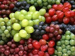 tl_files/catalogo/immagini_vitis_vinifera/Mixed_grapes.jpg