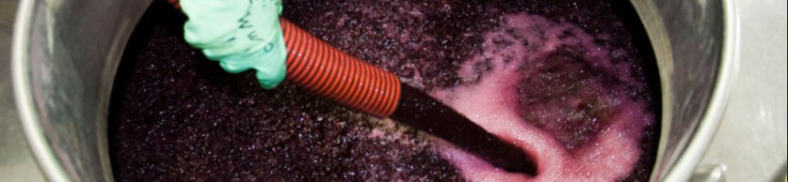 tl_files/catalogo/immagini_vitis_vinifera/care_wine_aeration.jpg