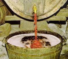 tl_files/catalogo/immagini_vitis_vinifera/press_care_wine.jpg